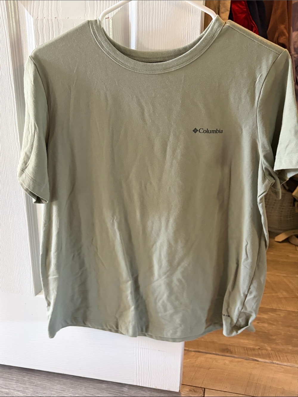 Columbia Men's Short Sleeve Tee in Light Sage Green